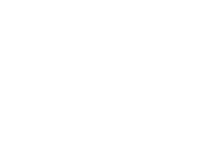 SPECIAL HEAVY EQUIPMENT SIMULATOR