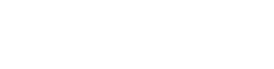 災害におけるスパイダーの役割